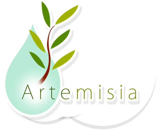 Artemisia, El Mejor Centro de Yoga en Málaga
